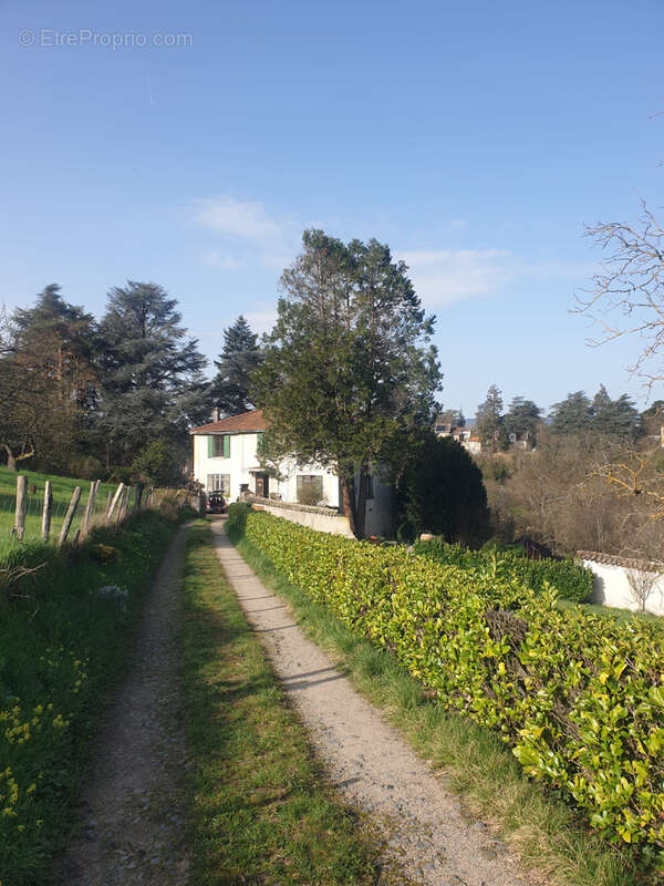 Maison à ECULLY