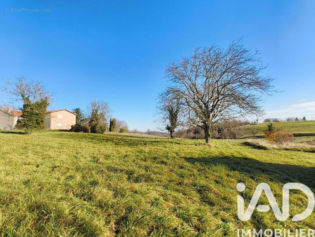 Photo 6 - Terrain à BEAUREGARD-VENDON