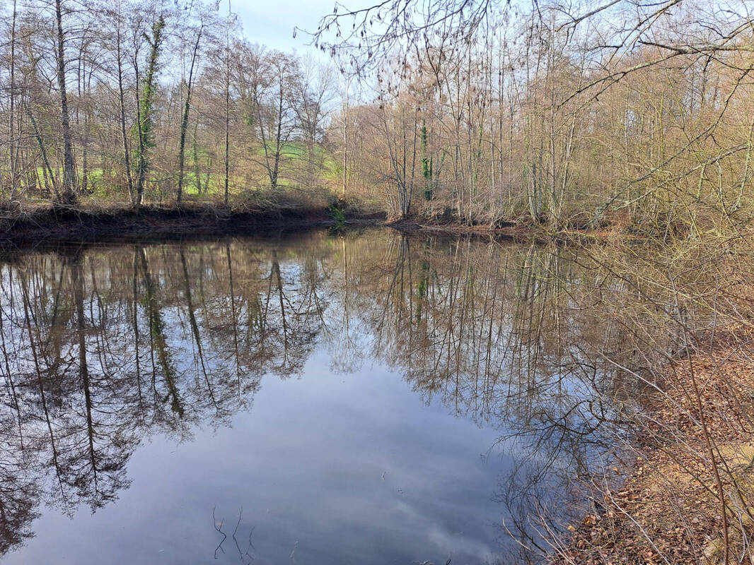 Terrain à SAINT-CALAIS