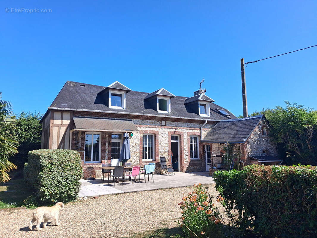 Maison Saint Leonard 13 pièce(s) 350 m2 - photo 3