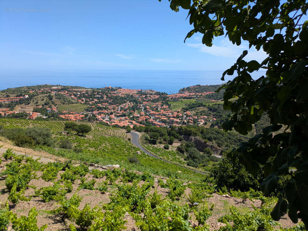 Terrain à COLLIOURE