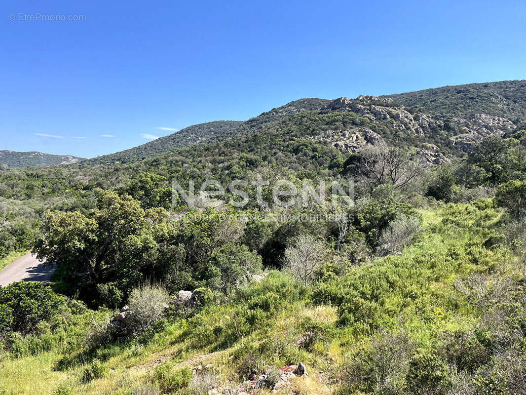 Terrain à PORTO-VECCHIO