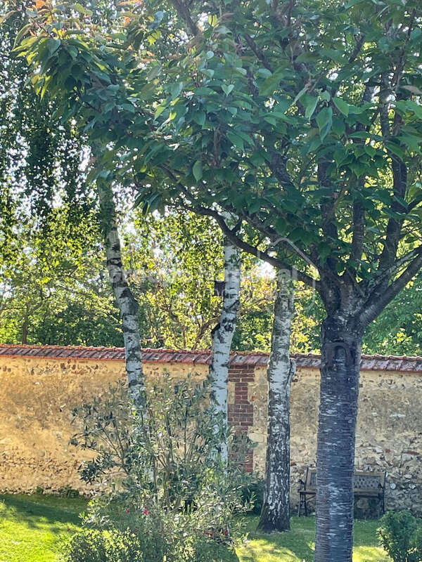 Maison à VILLENEUVE-LES-SABLONS