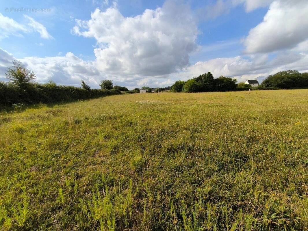 Photo 1 - Terrain à PLOUGUIEL