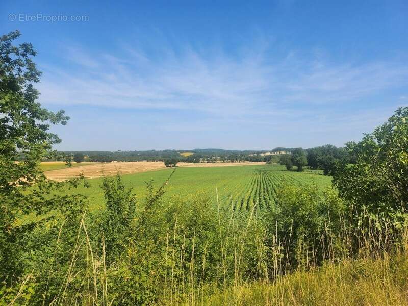 Belle longère avec dépendances - 6 pièces -  BEAUMONTOIS EN PERIGORD (24) - photo 4