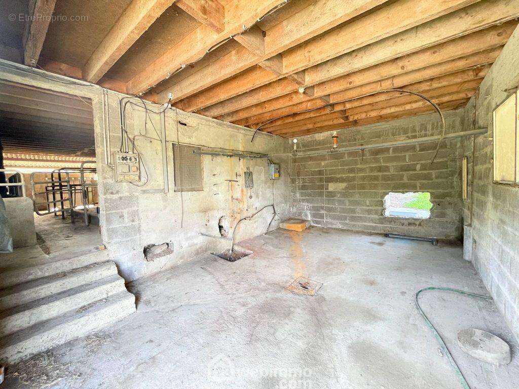 L'ancienne stabulation est une construction en parpaing... - Maison à SOULAINES-SUR-AUBANCE