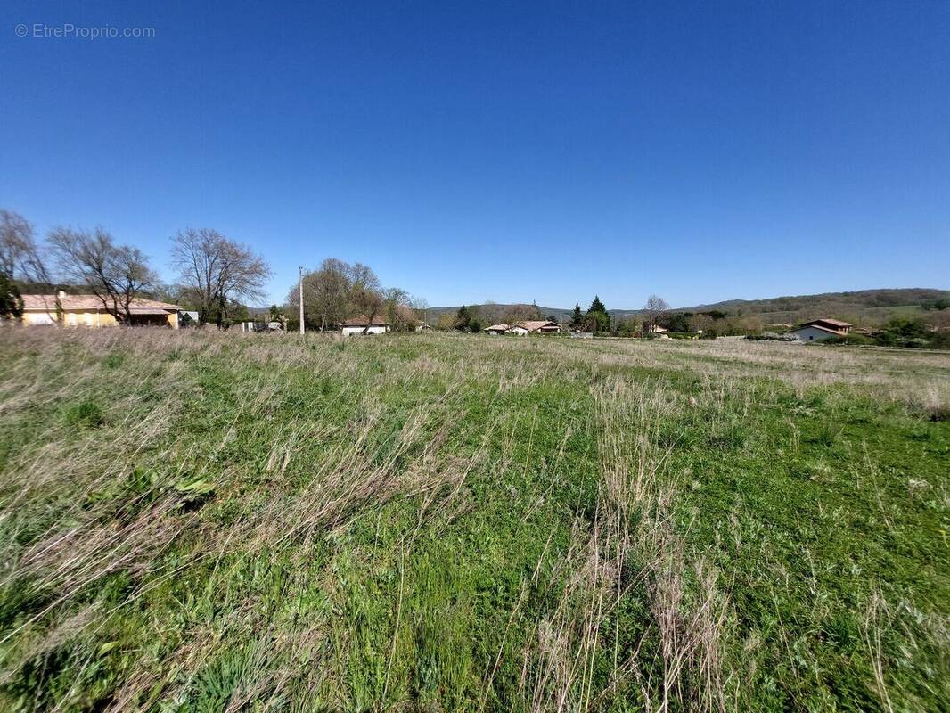 20260408154325 - Terrain à SAINT-MARTORY