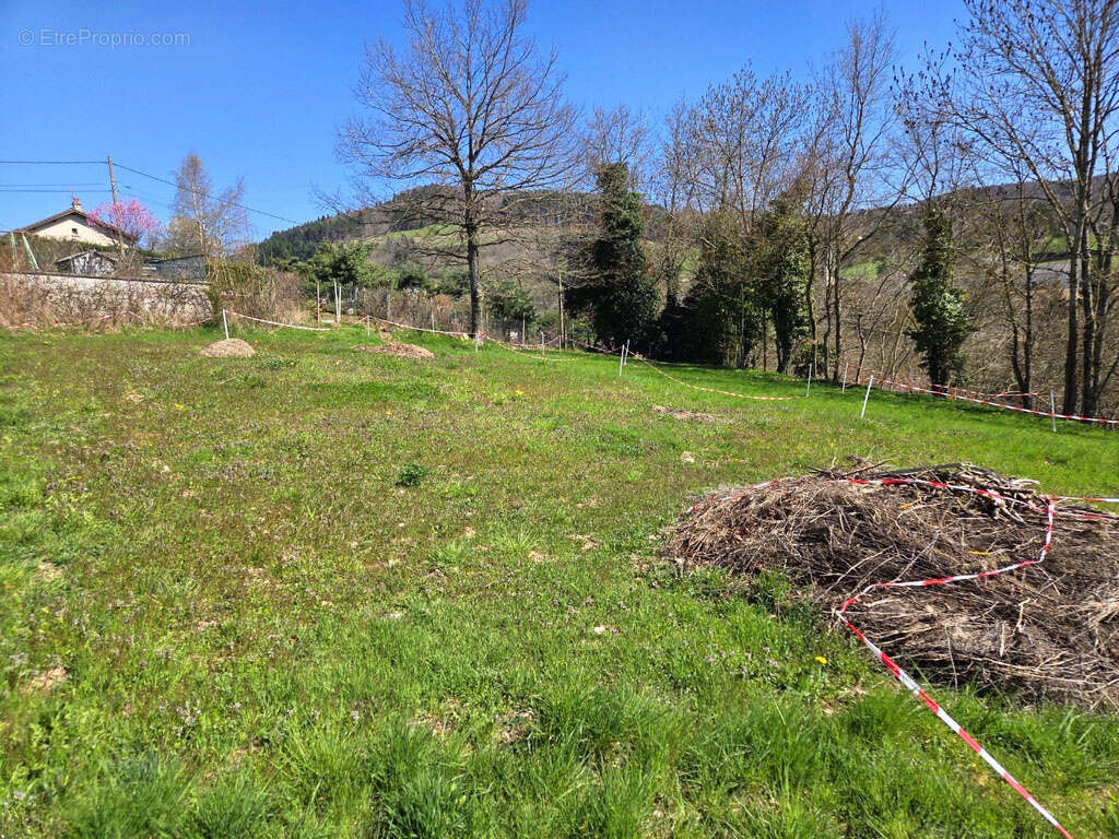 Terrain à SAINT-HOSTIEN