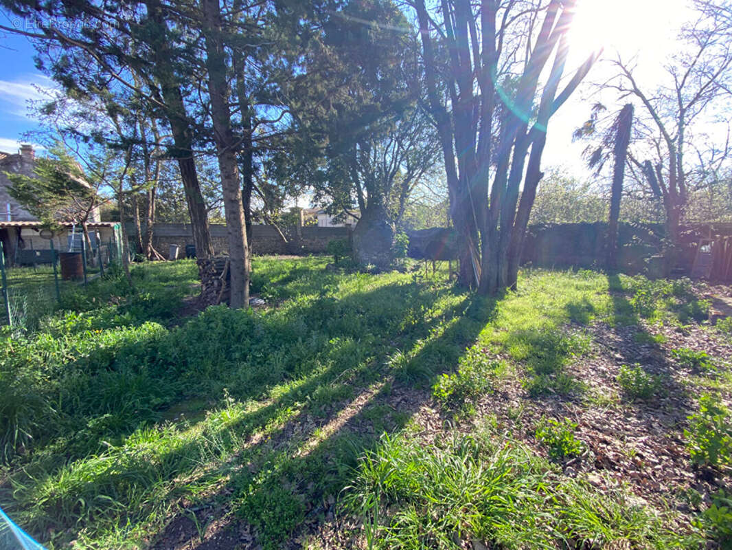 Terrain à PONT-SAINT-ESPRIT