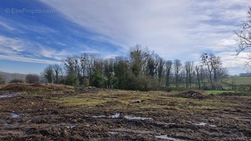 Terrain à CARLY