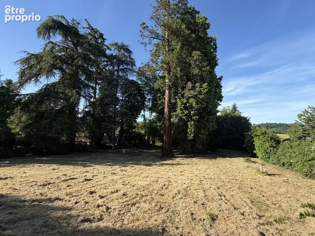 IMG0053