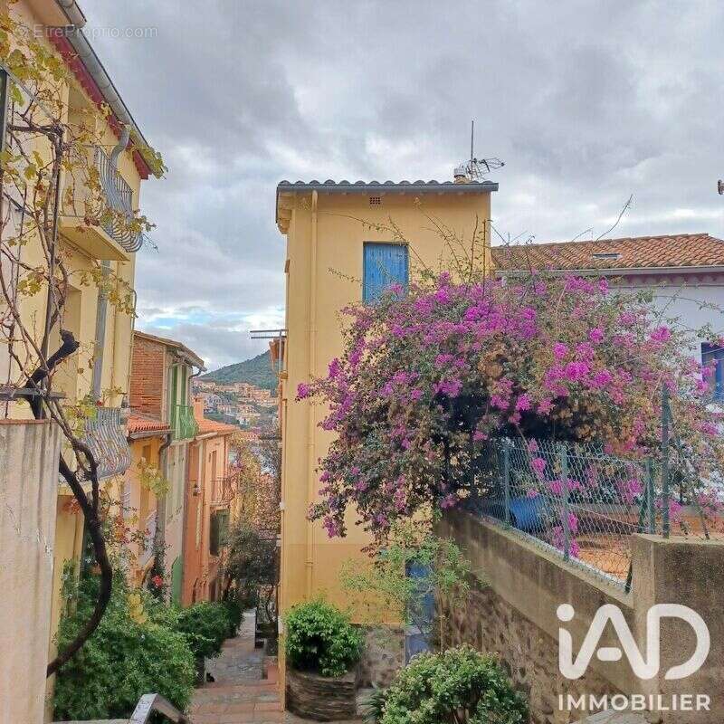 Appartement 69 m² à Collioure  - photo 7