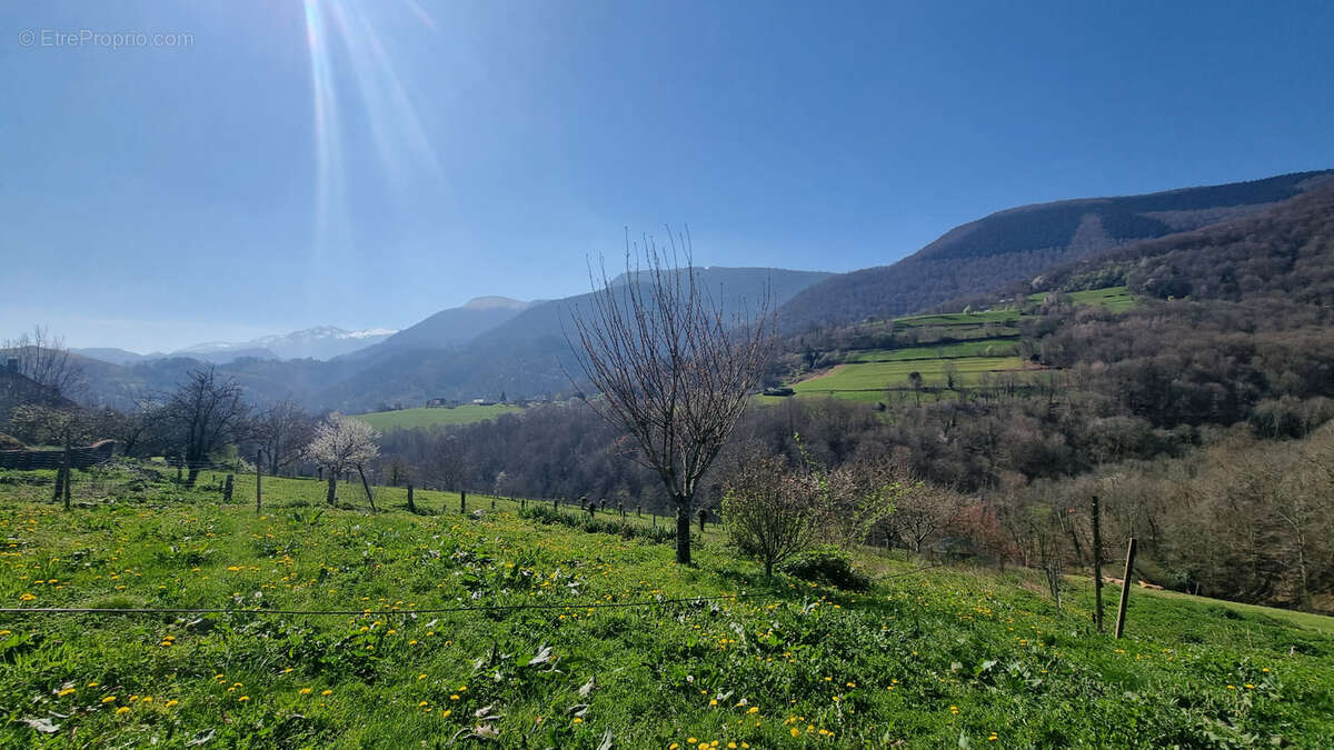 Maison à MARSAS