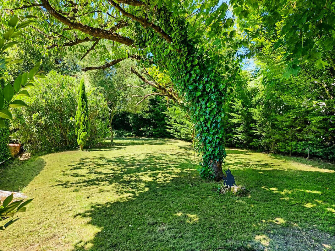 Maison à CHATEAUNEUF-SUR-CHARENTE