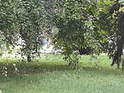 Terrain à GOINCOURT