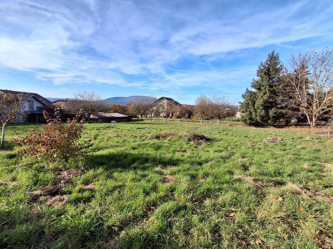 Terrain à CRANVES-SALES