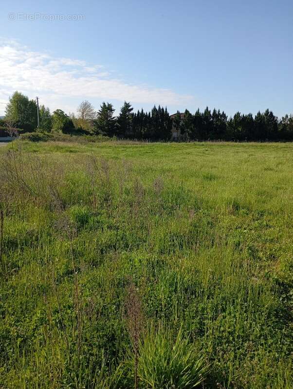 Terrain à MARCILLOLES