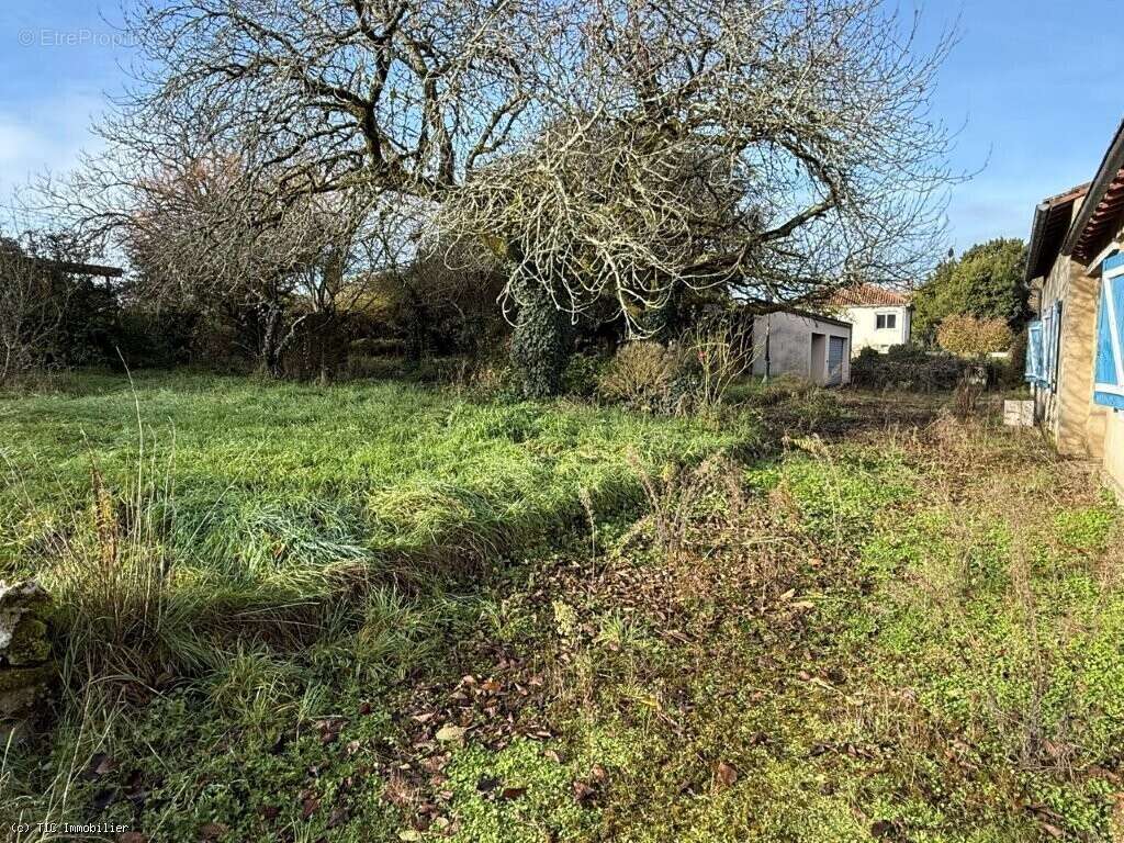 Maison à VERTEUIL-SUR-CHARENTE