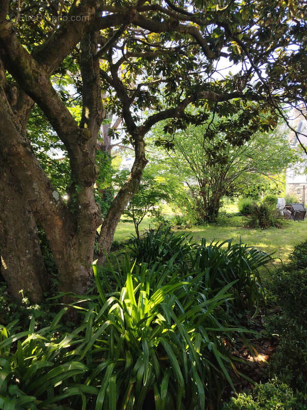 Maison à LE MINIHIC-SUR-RANCE