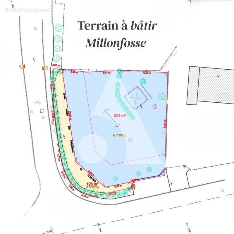 Terrain à MILLONFOSSE