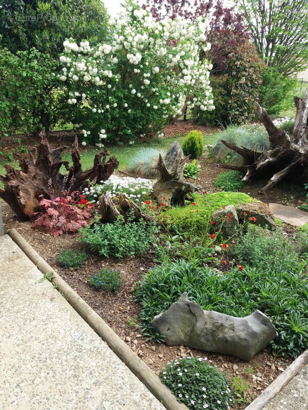 photo 1 - Maison à OLORON-SAINTE-MARIE