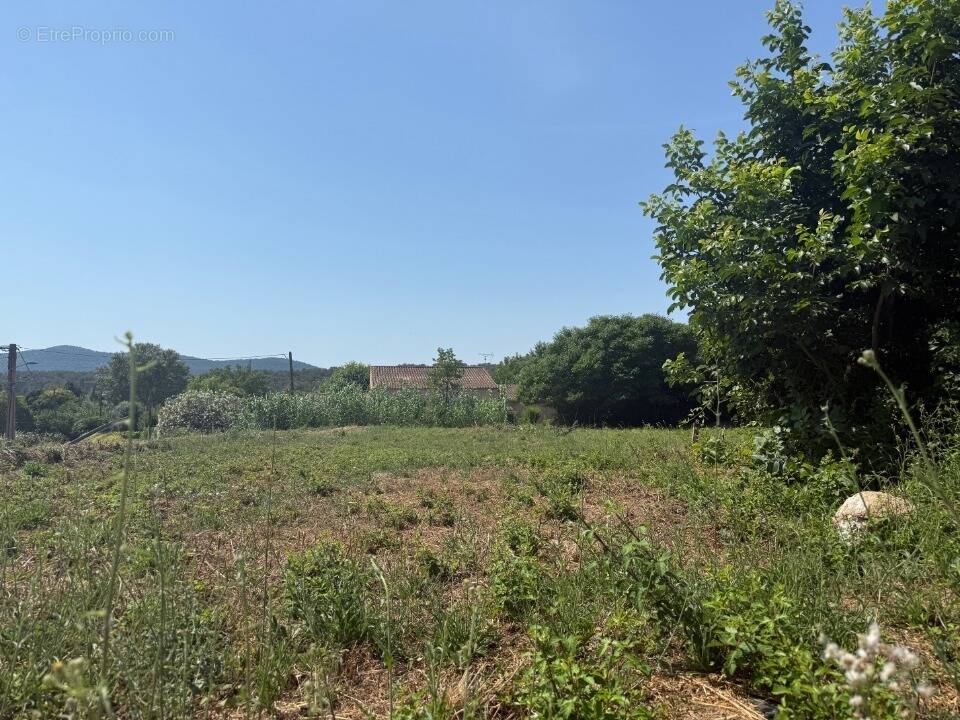 Terrain à CARNOULES