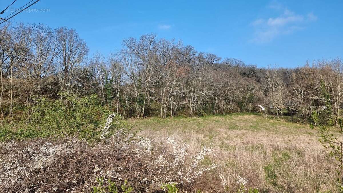 20260325090623 - Terrain à FIGEAC