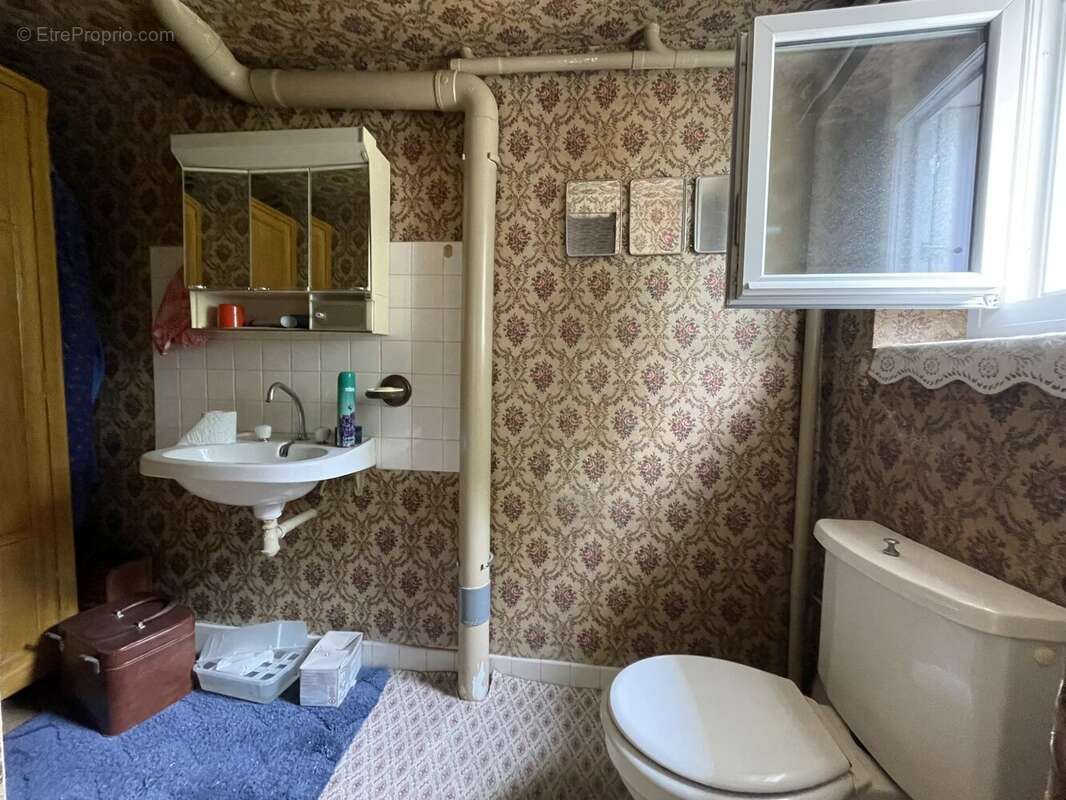 À vendre – Maison à rénover avec grand terrain – Quartier du Douet, Saint-Sébastien-sur-Loire - photo 10