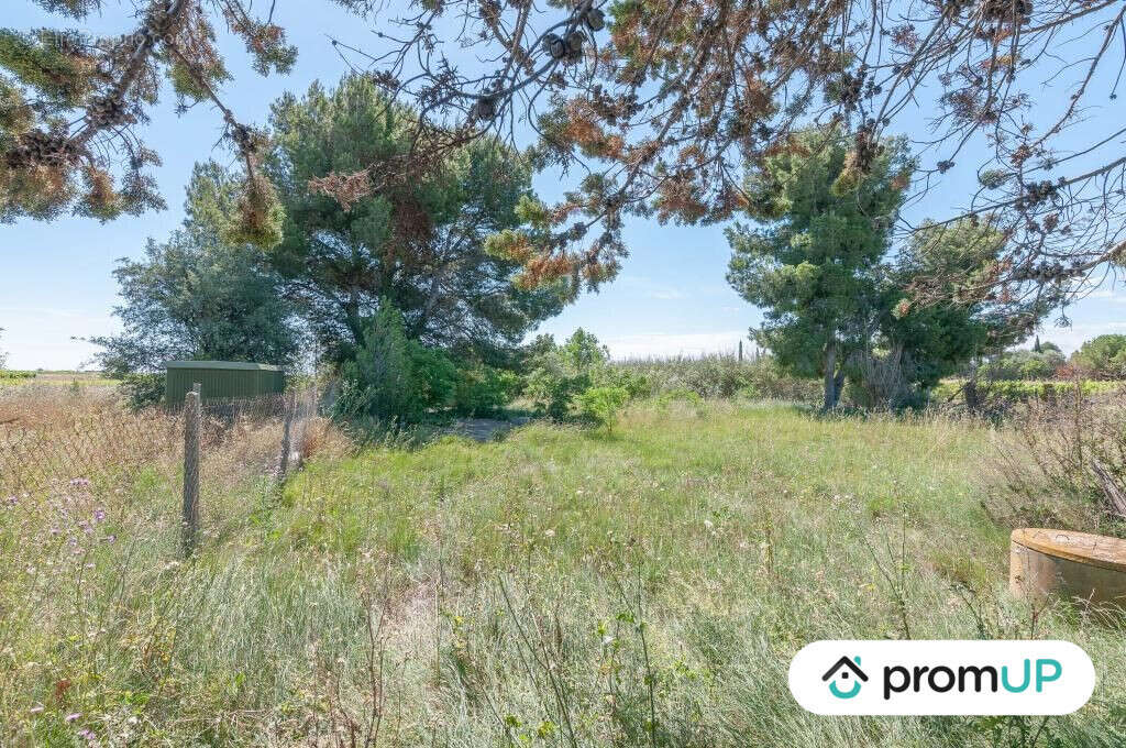 Terrain à MARSEILLAN