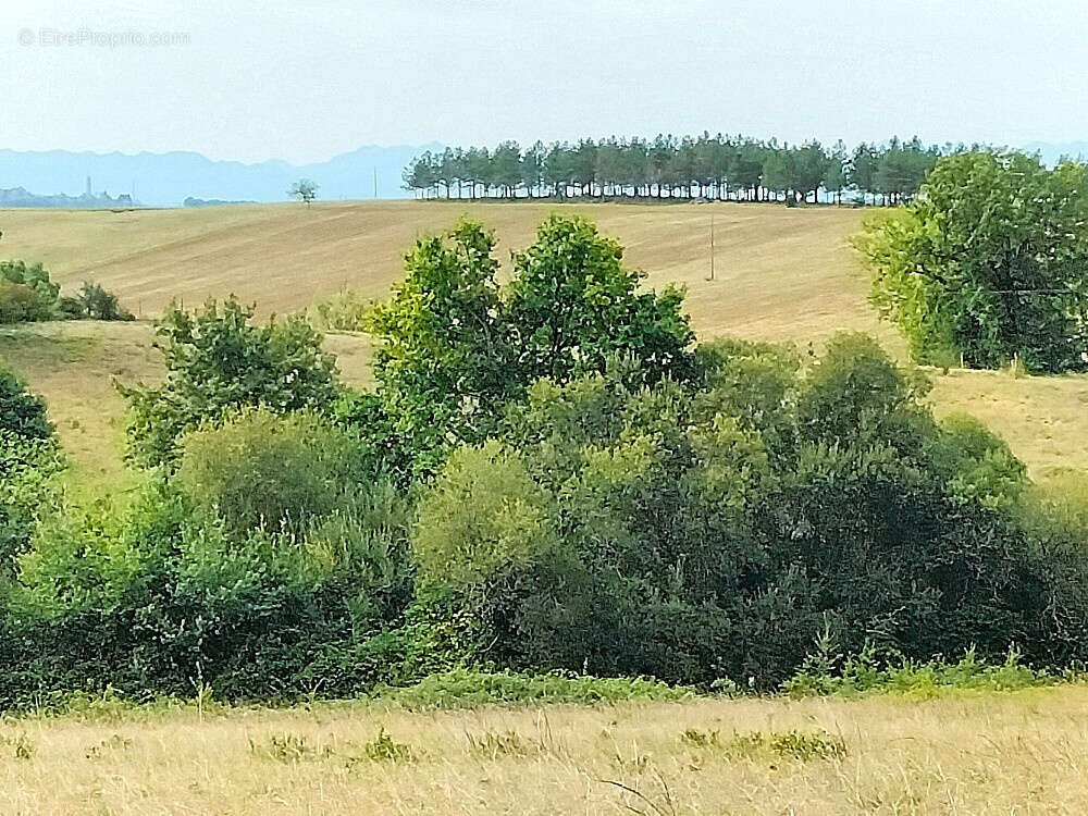 Terrain à MARGOUET-MEYMES