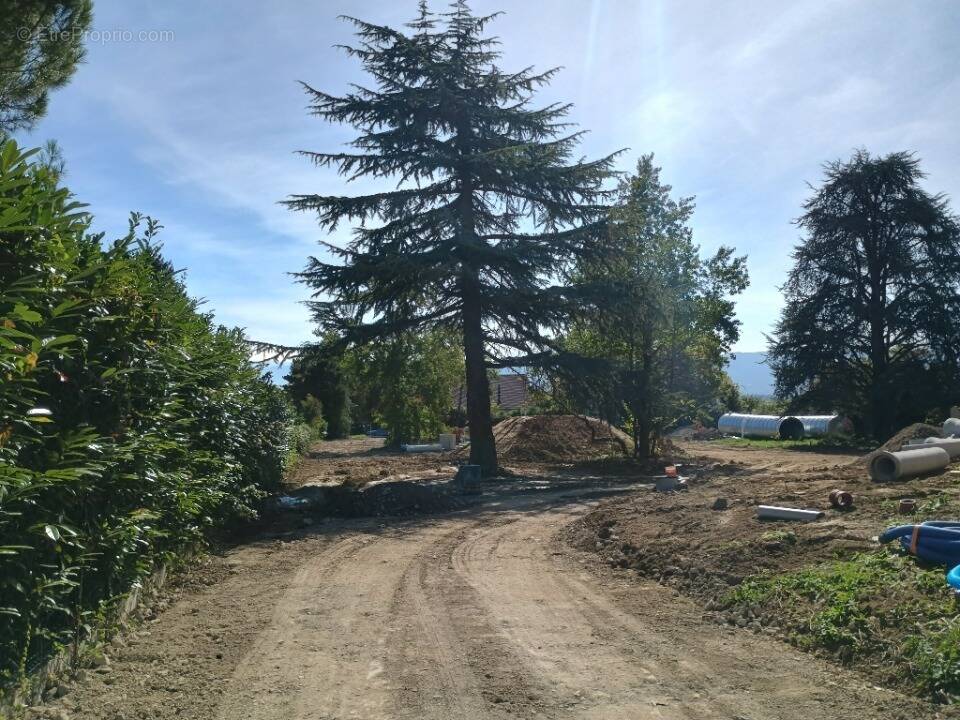 Terrain à PREVESSIN-MOENS