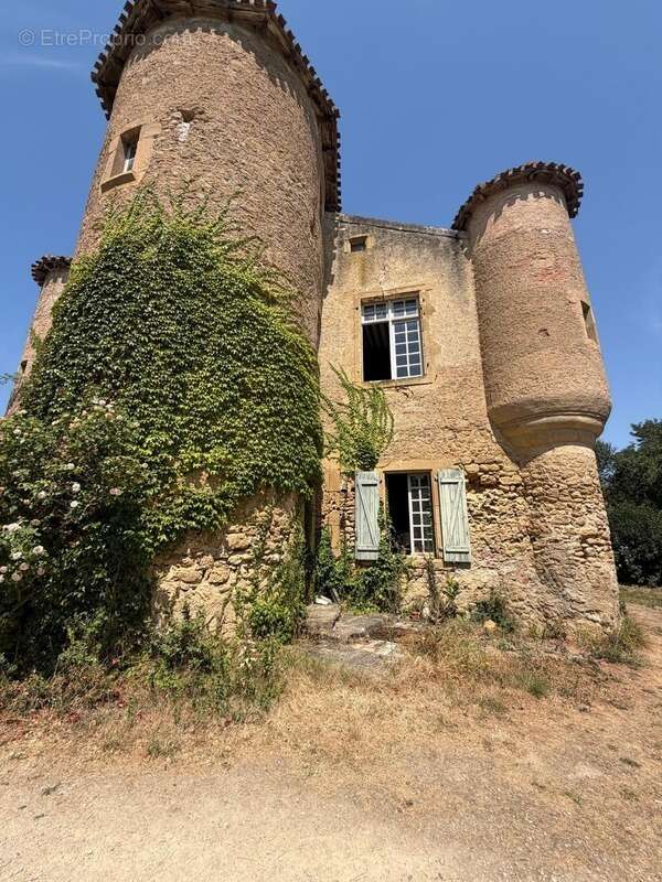 MARCIAC(32): ancienne SEIGNEURIE avec BEAU CHATEAU XIV sur 3,5ha, cachée, au bout du chemin, sans voisin, en campagne, 500m2 hab - photo 9