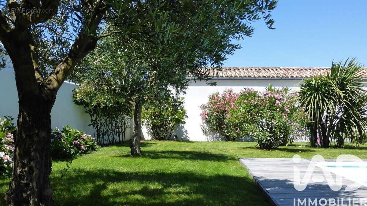Photo 3 - Maison à SAINTE-MARIE-DE-RE
