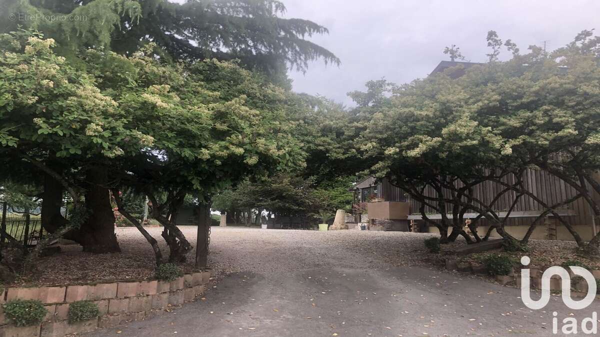 Photo 9 - Maison à APREMONT