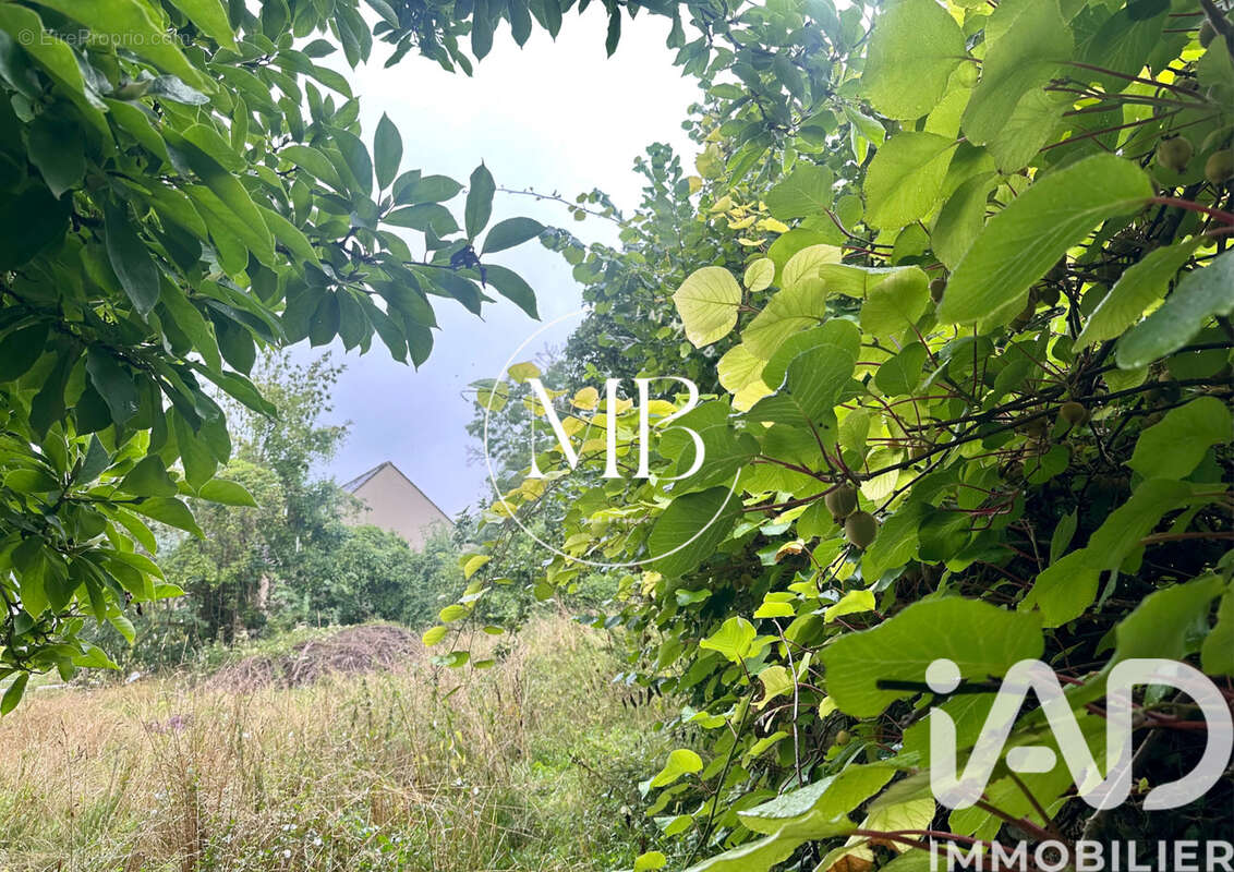 Photo 2 - Terrain à PRESLES