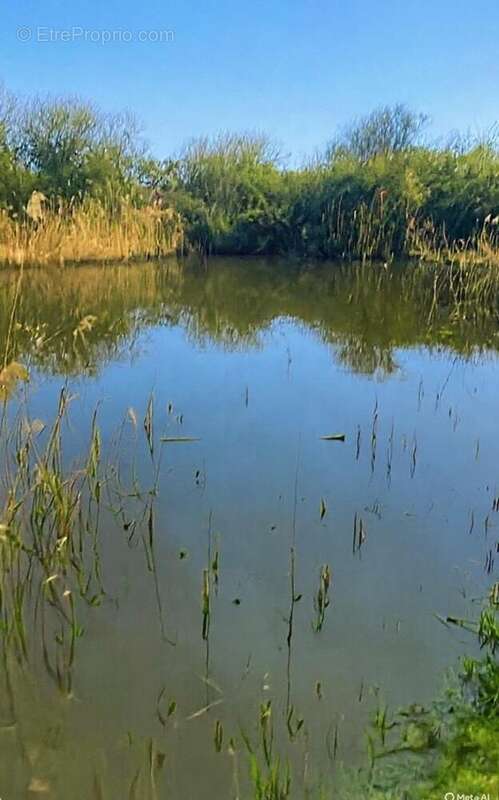 Photo 2 - Terrain à CAPPELLE-BROUCK