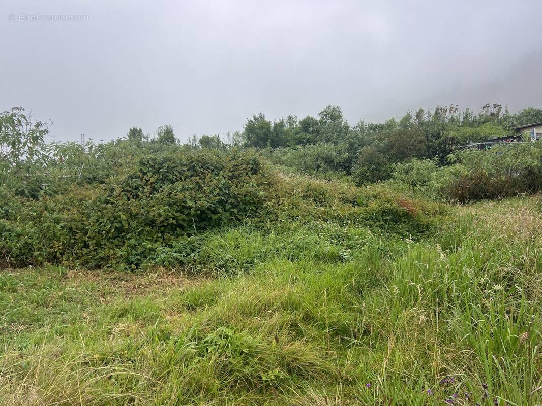 Terrain à LA PLAINE-DES-PALMISTES