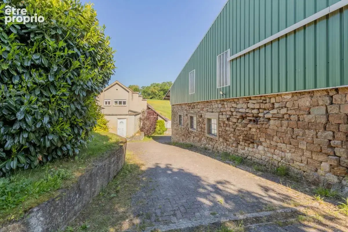 Domaine equestre - boxes-manege-carriere-appartement - photo 21