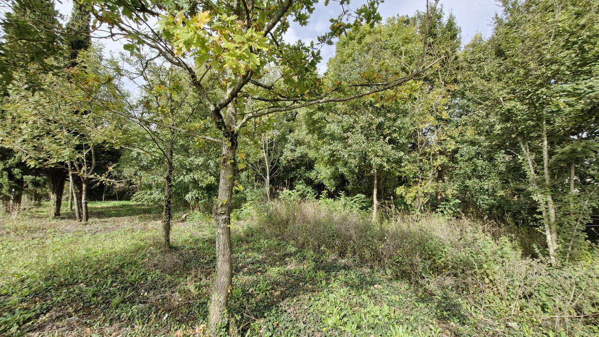 Terrain à CHENAC-SAINT-SEURIN-D&#039;UZET