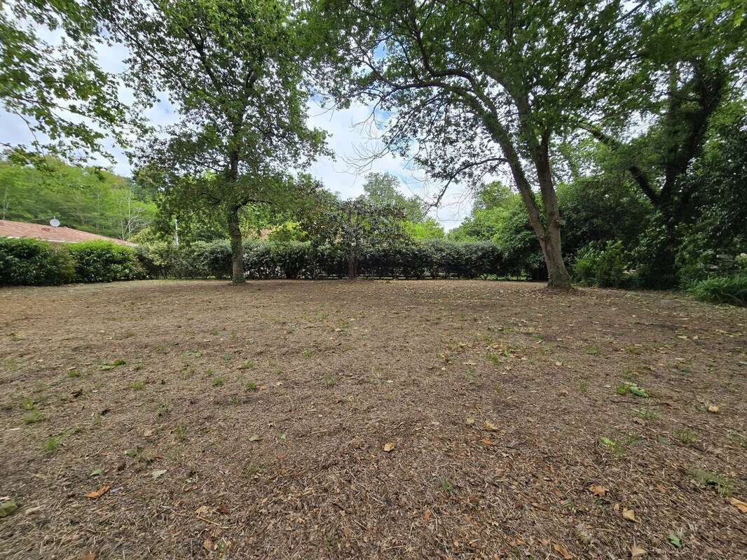 Terrain à MESSANGES