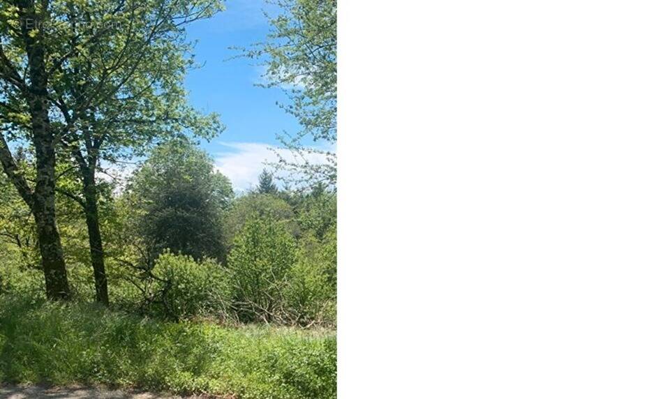 Terrain à FONTIERS-CABARDES