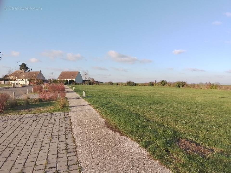 Terrain à LA NEUVILLE-ROY