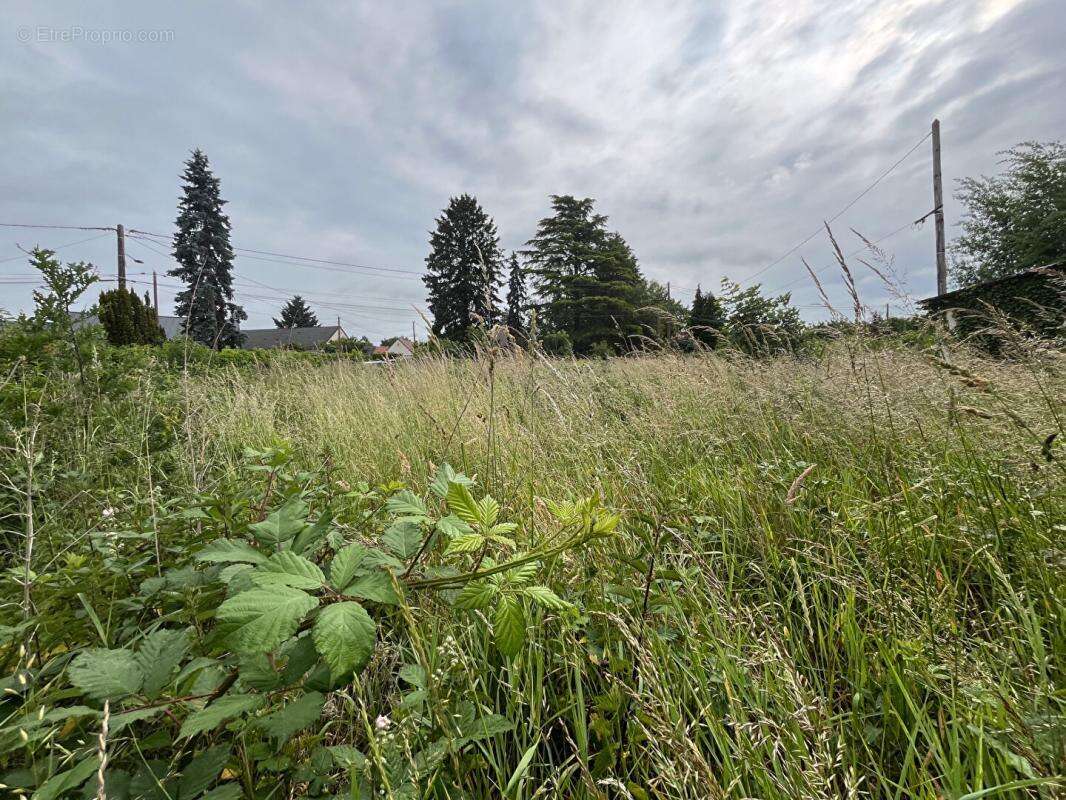 Terrain à ROMORANTIN-LANTHENAY
