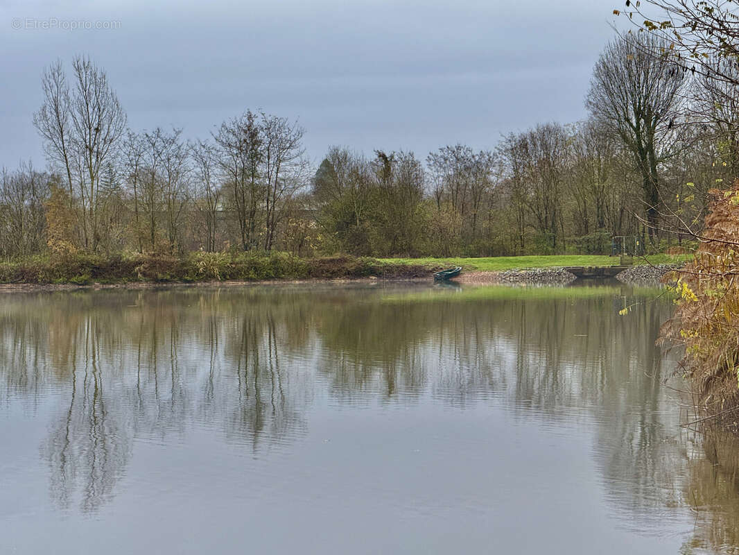 Terrain à SAINT-SYMPHORIEN-D&#039;ANCELLES