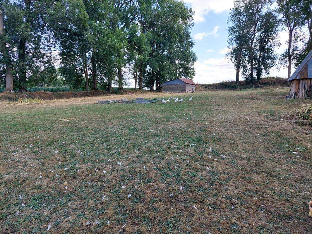 Ancien corp de ferme  7150 m² - photo 15