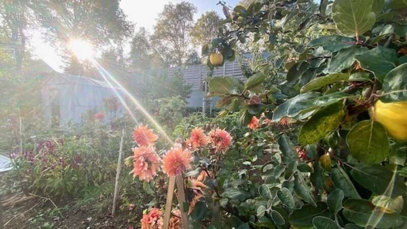 Maison à MONTERBLANC