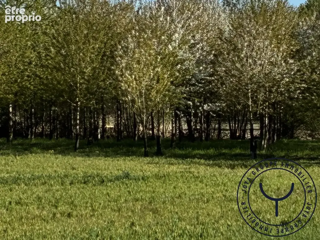 Terrain 29 992 m² à vendre à Mesgrigny (10170) - photo 6