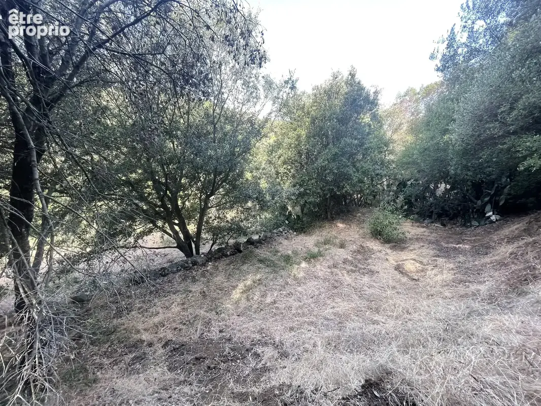 Oletta – terrain 885 m² – permis purgé - photo 7