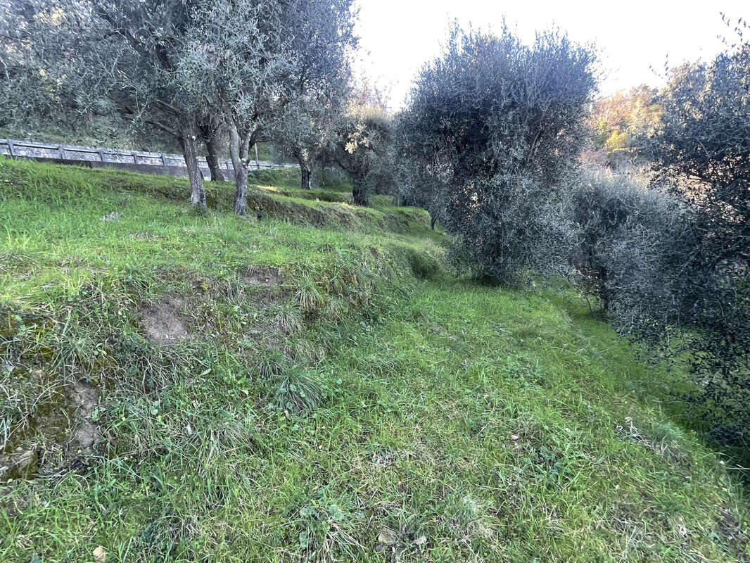 Terrain à BERRE-LES-ALPES
