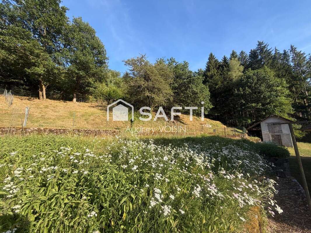 Maison 135 m² à Rupt-Sur-Moselle  - photo 9